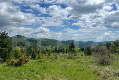 Teren de 804 mp, în Moroeni - 4