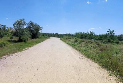 Teren de 610 mp, în Cornetu - 2