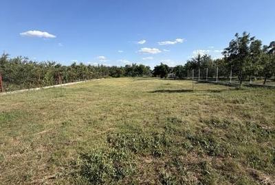 Casă cu 4 camere cu Teren 180 Mp în Sacoșu Turcesc - 5