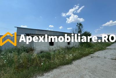 Spațiu comercial, de 1,100 mp, în Central - 10