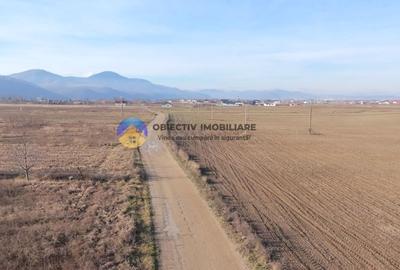 Teren intravilan de 3600 mp, în Dumbrava Roșie