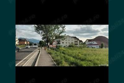 Teren de 5000 mp, în Primăverii - 2