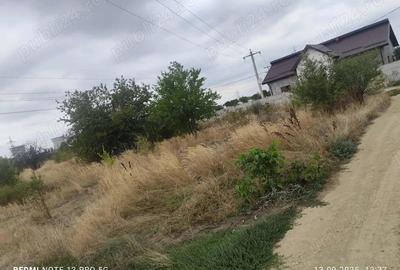 Teren de 2500 mp, în Ișalnița - 3