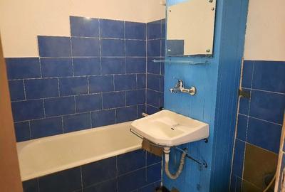Garsonieră decomandată în Tudor - 2