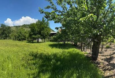 Teren de 3900 mp, în Sâmbotin - 4