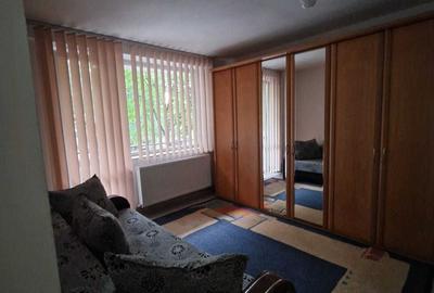 Apartament cu 2 camere semidecomandat în Dosu Bricii