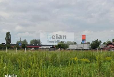 Teren de 3300 mp, în Ciolpani