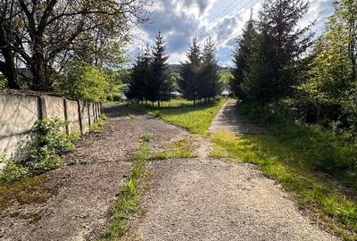 Teren Construcții intravilan de 115367 mp, în Piatra - 2
