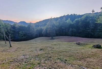 Teren de 7000 mp, în Grădiștea de Munte - 11