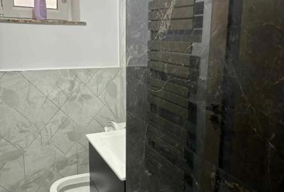 Apartament cu 3 camere decomandat în Calea București - 4