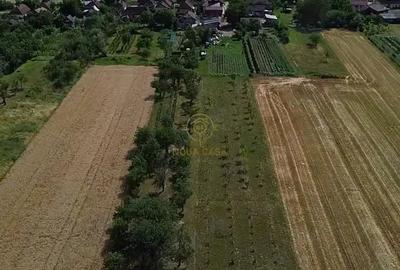 Casă cu 4 camere cu Teren 4839 Mp în Viile Satu Mare