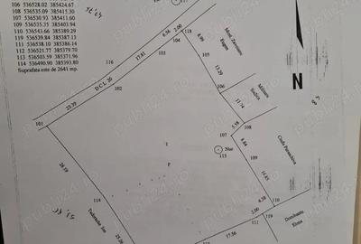 Teren de 2641 mp, în Viforâta - 5