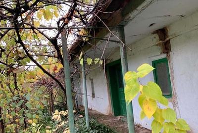 Casă cu 3 camere în Central