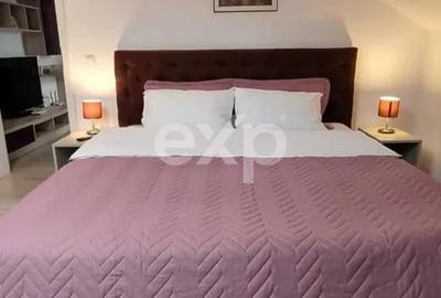 Apartament cu 2 camere semidecomandat în Palat