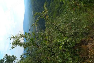 Teren de 27000 mp, în Mănăstirea