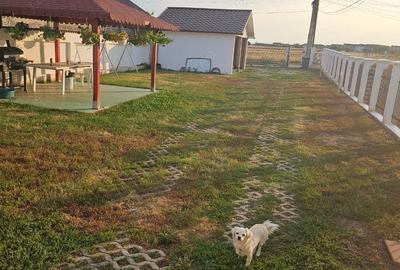 Casă cu 3 camere în Strejnicu