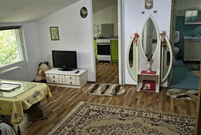 Apartament cu 3 camere decomandat în Iosefin - 9