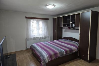 Casă cu 2 camere în Slătioarele - 1