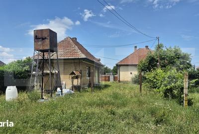 Teren de 5488 mp, în Păulești - 9