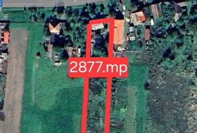 Casă cu 3 camere cu Teren 2877 Mp în Iosif - 1