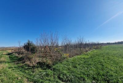 Teren agricol intravilan de 2500 mp, în Răscruci - 4