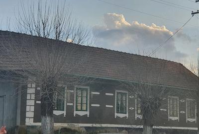 Casă cu Teren 2000 Mp în Valea Mare - 10