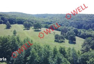 Teren de 46300 mp, în Ghidfalău - 3