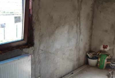 Casă cu 3 camere cu Teren 1200 Mp în Dudeștii Noi - 6