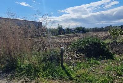 Teren de 4600 mp, în Brăilei - 4