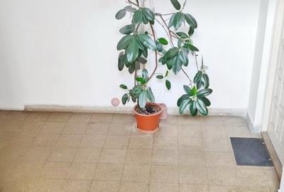 Apartament cu 4 camere decomandat în Blumăna - 18