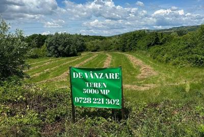 Teren de 5000 mp, în Bucov - 3