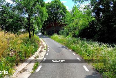 Teren de 6115 mp, în Șișești
