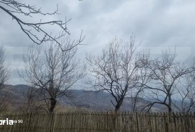 Teren de 3781 mp, în Izvoarele - 9