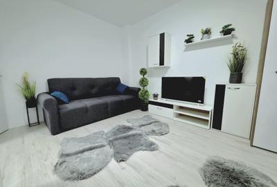 Apartament cu 2 camere decomandat, mobilat în Moara de Vânt - 4
