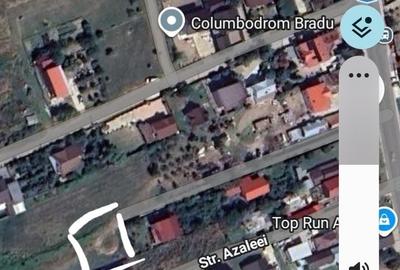 Spațiu comercial, în Bradu