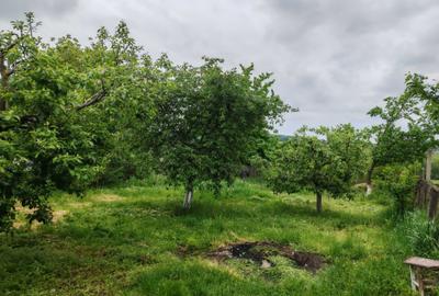 Casă cu 2 camere în Războieni - 2