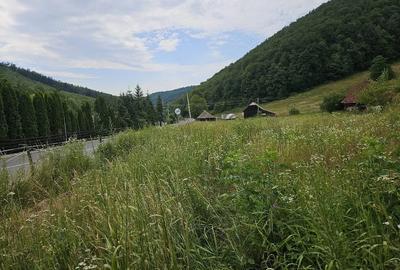 Teren de 5500 mp, în Hurez - 5