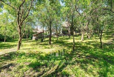 Casă cu Teren 1368 Mp în Livada (Petreștii de Jos) - 9