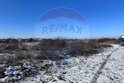 Teren intravilan de 500 mp, în Corbeanca - 2