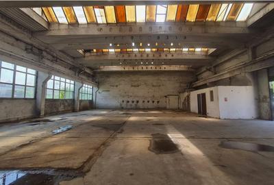 Spațiu industrial, de 435 mp, în Vest - 6