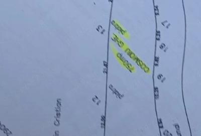 Teren de 1450 mp, în Valea Bradului - 1