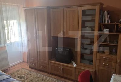 Apartament cu 2 camere decomandat, mobilat în Botizului