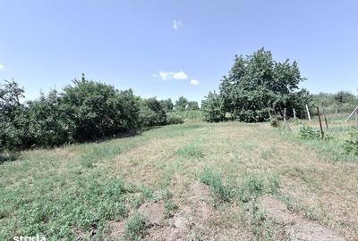 Casă cu 2 camere în Burlești