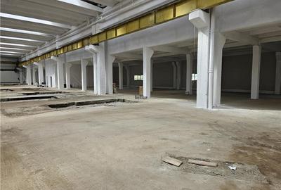 Spațiu industrial, de 6,500 mp, în Mârșa - 5