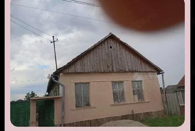 Casă cu Teren 3000 Mp în Sânnicolau Român - 1
