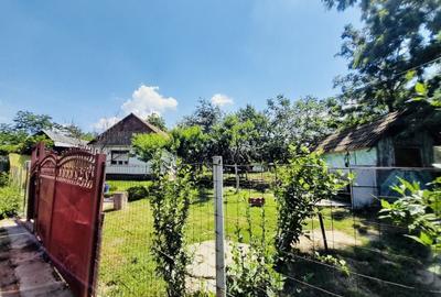 Casă individuală cu 2 camere cu Canalizare în Ciocaia - 2