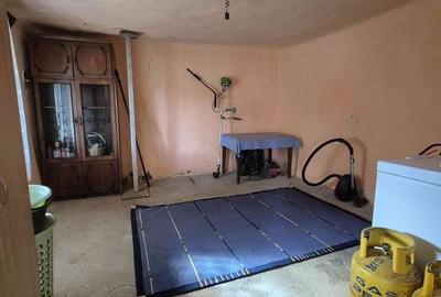 Casă cu 4 camere cu Teren 1200 Mp în Peciu Nou - 12