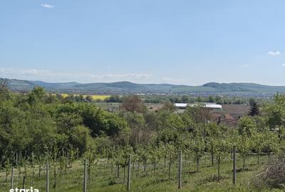Teren de 1400 mp, în Sântana de Mureș