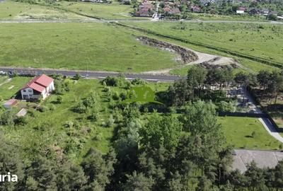 Teren de 1380 mp, în Goranu - 6