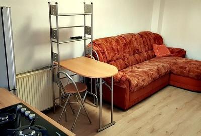 Casă individuală cu 18 camere cu Canalizare în Lipovei - 42